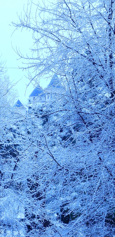 La nevada que ha dejado la borrasca Filomena en San José de Valderas (Alcorcón).