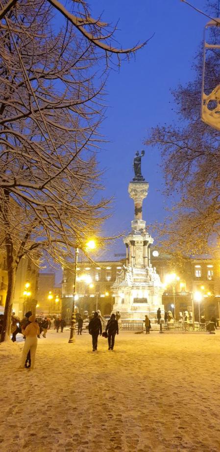 Escenas de la nevada en Pamplona, con el paso de la borrasca Filomena.