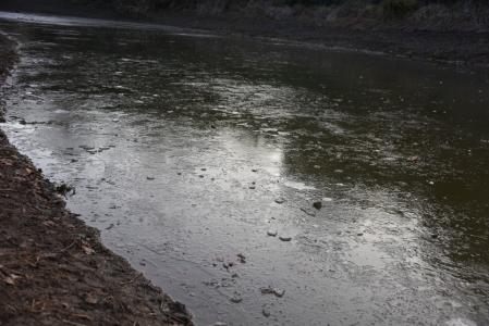 Las bajas temperaturas han congelado el pantano de Vallvidrera.