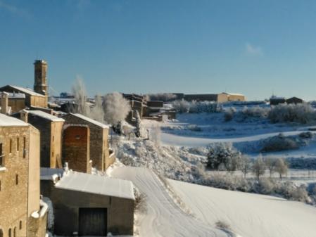 Belltall entre la nieve.