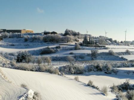 Belltall entre la nieve.