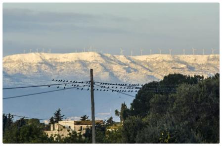 Vistas de las montañas de Prades nevadas desde el Baix Camp.