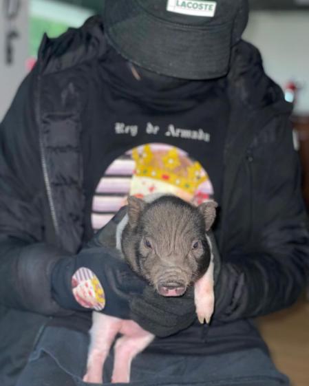 Hace unos meses le abrió una cuenta de Instagram a su cerdo