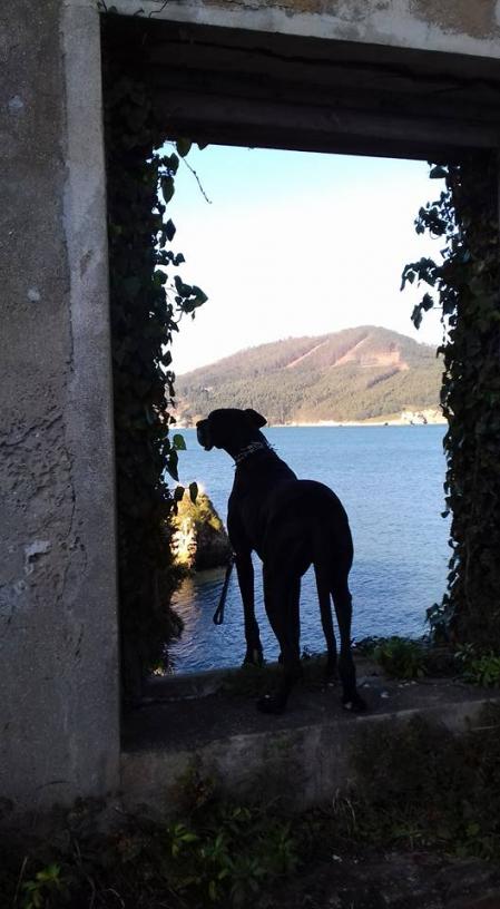 Vistas al mar en la Ría do Barqueiro.