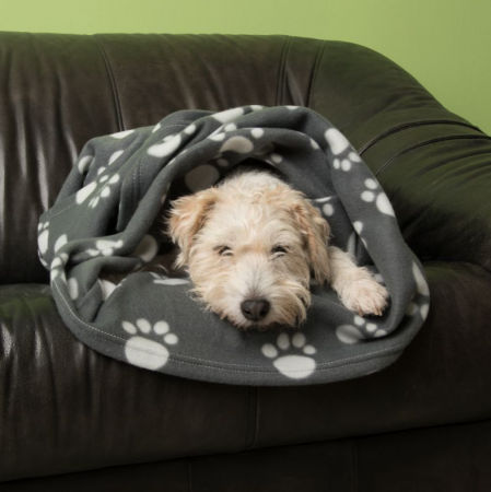 Manta térmica polar