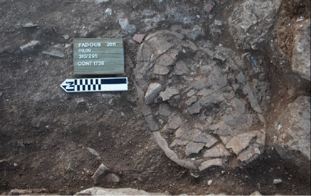 Un caparazón completo de tortuga boba recuperado de sitio de la Edad del Bronce en el Líbano