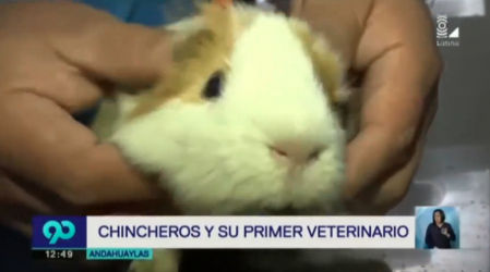 Suzi, la cobaya más viral de la televisión peruana con final inesperado
