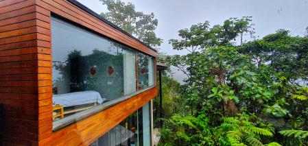 En Mashpi Lodge la vegetación está mimetizada en el entorno