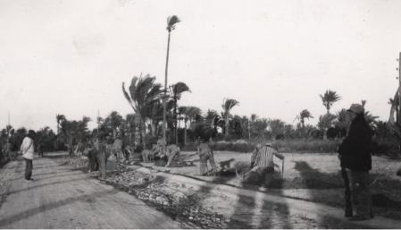 Campo de trabajo de la República en Albatera, que más tarde se convertiría en el campo de concentración del bando Nacional.