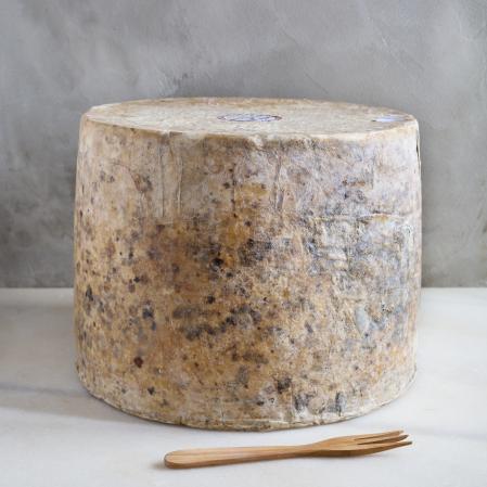 el cheddar es el queso británico por excelencia y el más consumido del mundo. Esta pieza de una quesería de Escocia, pesa 40 kilos