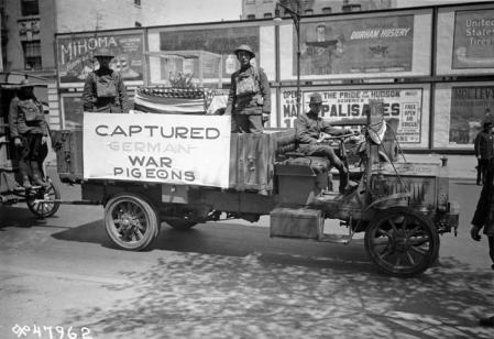 Palomas capturadas a los alemanes