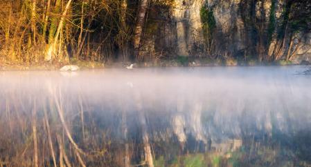 Amanecer humeante en el río Ter a su paso por Les Masies de Voltregà.