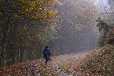 Una mujer pasea por el bosque de Fraga da Furoca, en Galicia. El contacto tranquilo con la naturaleza ayuda a la introspección