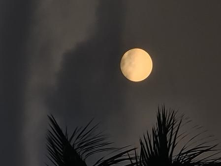 La acción de la niebla hace que el Sol se asemeje a una luna llena.