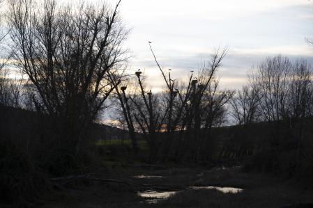 Fotografía en RAW sin procesar captada con la Nikon Z7 II: