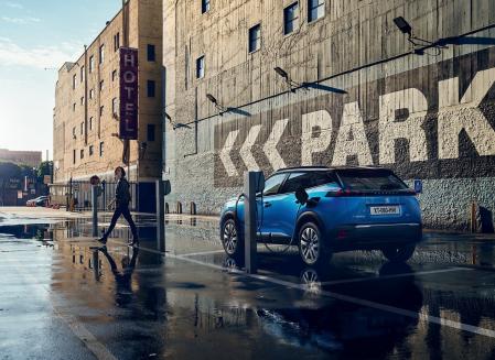 Gracias a modelos como el e-2008, Peugeot fue una de las marcas con mayor cuota de mercado en el sector de eléctricos&nbsp;