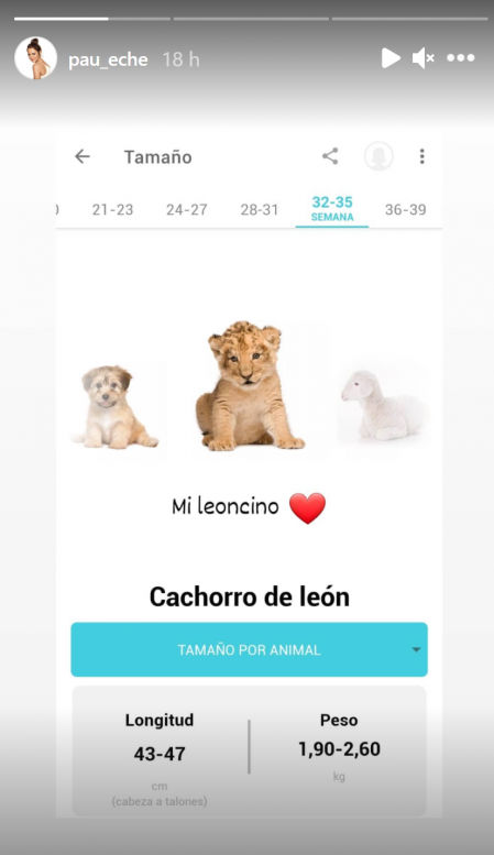 Imagen que ha compartido Paula Echevarría en una historia