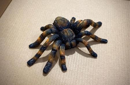 ¿Te comerías a una tarántula?