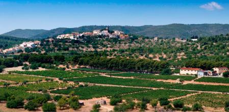 Selección 100% Chardonnay