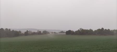 Paisaje de niebla en Sant Pere de Sallavinera.