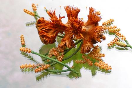 Ciprés en el monasterio de Pedralbes.