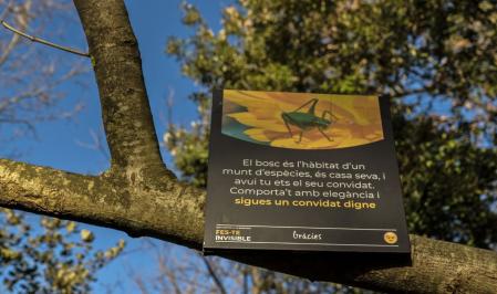 La Foradada de Cantonigròs.