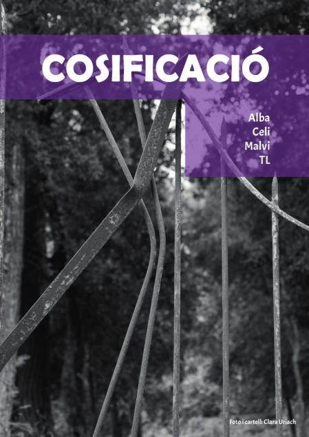 Cartel de la obra 'Cosificació'.