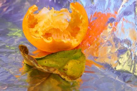 Cuando el moho se convierte en arte.