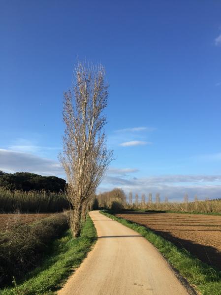 Ruta del Tren Petit en Palamós.