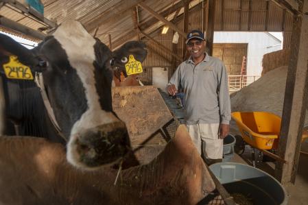 Ermias Kebreab, profesor del Departamento de Ciencia Animal de UC Davis