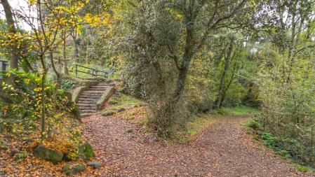 Camino del Boscarró.