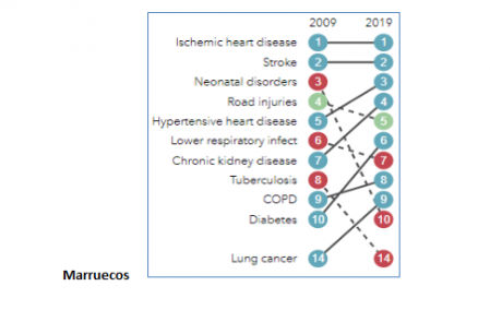 Diagrama 3. Ranking de las 10 principales causas de muertes.