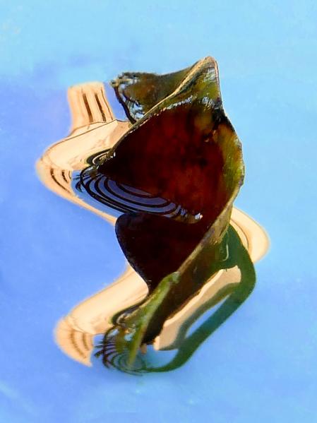 Hojas en descomposición.