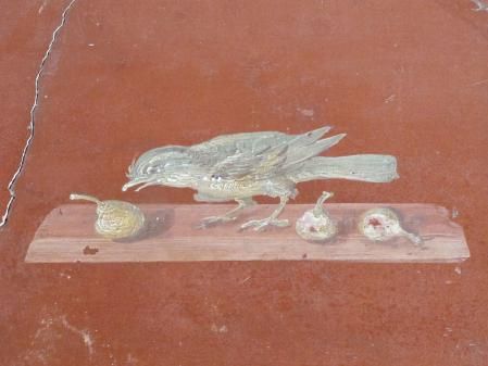 Uno de los numerosos frescos que decoraban Oplontis.