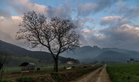 Sant Joan les Fonts.