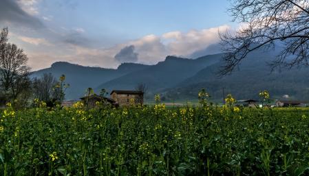 Sant Joan les Fonts.