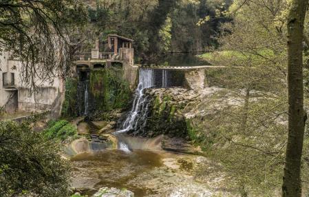 Sant Joan les Fonts.