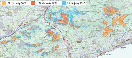 Mapa satélite del Montnegre donde se observa la actuación de la oruga del corcho