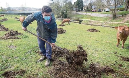 Roberto extiende estiércol en la finca donde pastan sus vacas del barrio de A Tolda, en Lugo, Galicia (España), a 24 de marzo de 2021. El sector primario ha sido fundamental durante la pandemia. Agricultores y ganaderos han dado lo mejor de sí mismos para que el abastecimiento alimentario en España no se haya visto mermado. Además, los trabajadores del campo no han descuidado su seguridad, y es frecuente verlos ejecutando sus labores con mascarilla y elementos de protección frente a la Covid-19. 26 MARZO 2021;JORNADA LABORAL;AGRICULTURA;CAMPO;COSECHA;MASCARILLA;TRABAJO;PANDEMIA;AGRICULTOR;ALIMENTOS Carlos Castro / Europa Press 24/03/2021