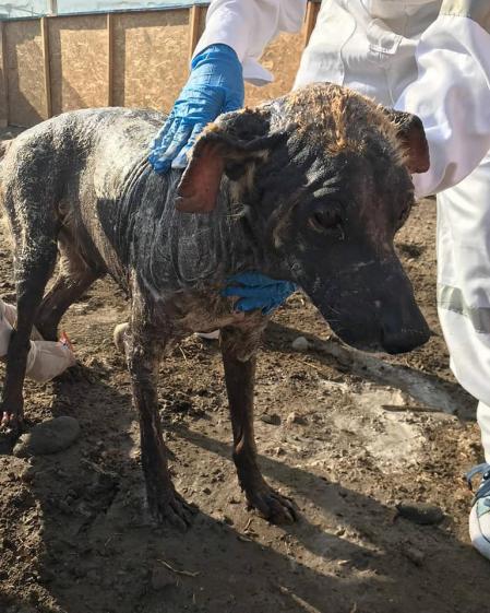 El cuidado de los trabajadores del centro ha obrado el milagro.
