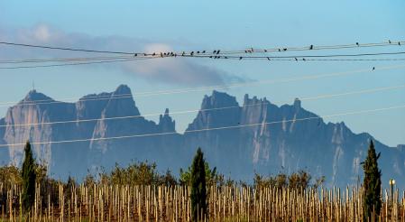 Montserrat desde Manresa.