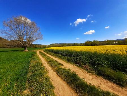 Primavera en La Garrotxa.