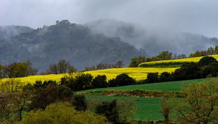 Santa Cecília de Voltregà.
