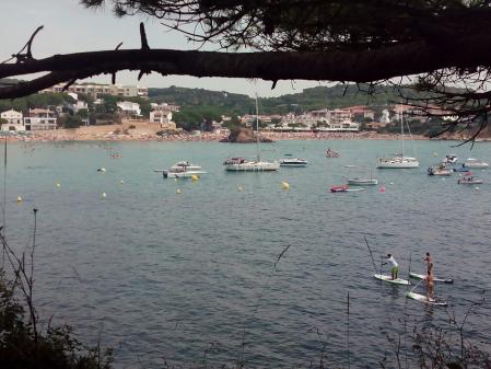 Vistas, tras un árbol, de la playa de La Fosca.