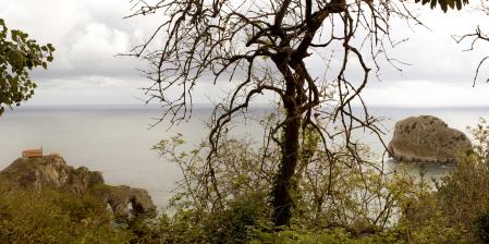 Panorámica, tras un árbol, del islote de Gaztelugatxe y la isla de Akatxe Uhartea.