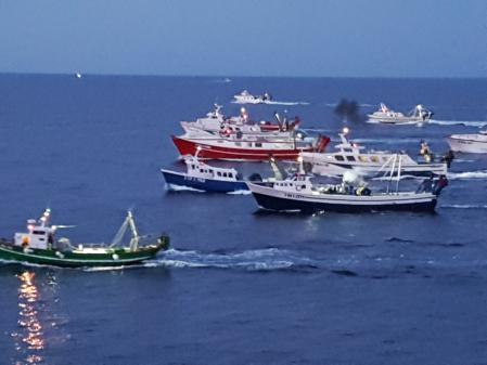 Vista de algunas de las embarcaciones pesqueras.