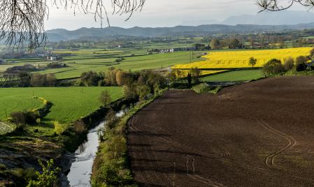 Panorámica de unos campos de cultivo junto a una florecido.