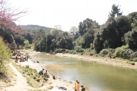 Primavera en el pantano de Vallvidrera.
