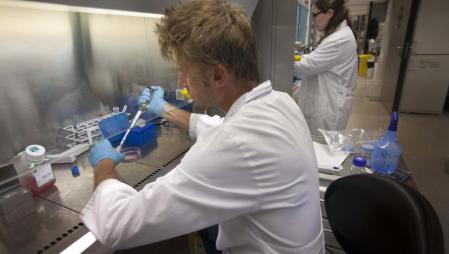 Laboratorio analizando muestras&nbsp;