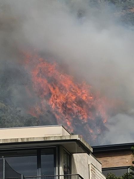 Incendio en Collserola.